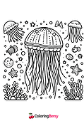 Jellyfish