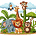 Jungle Animals
