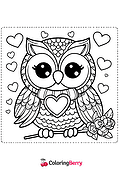 Kawaii Owl