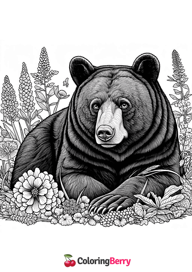 Kermode Bear Coloring Page