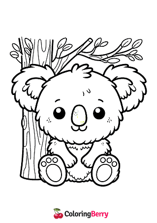 Koala Bear Coloring Page