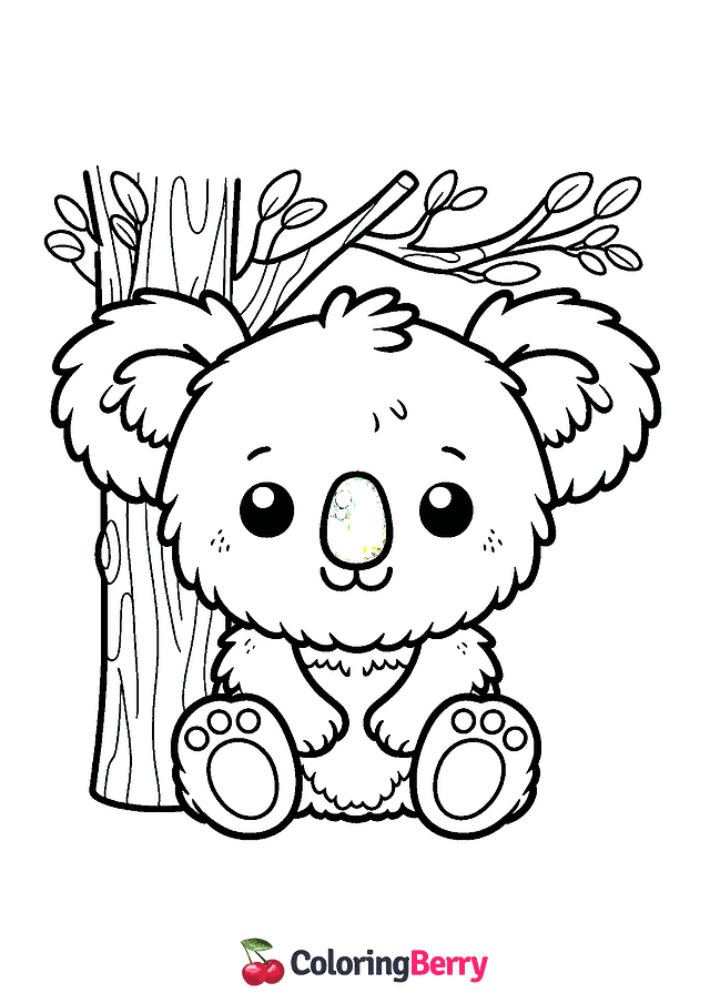 Koala Bear Coloring Page