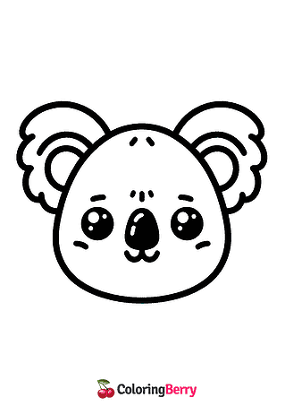 Koala Face