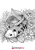 Koi Carp