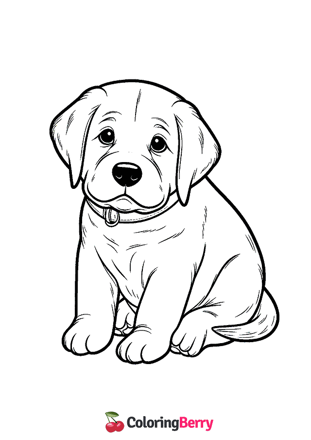 Labrador Coloring Page