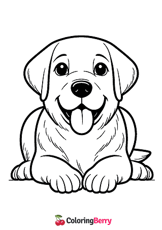 Labrador Dog Coloring Page