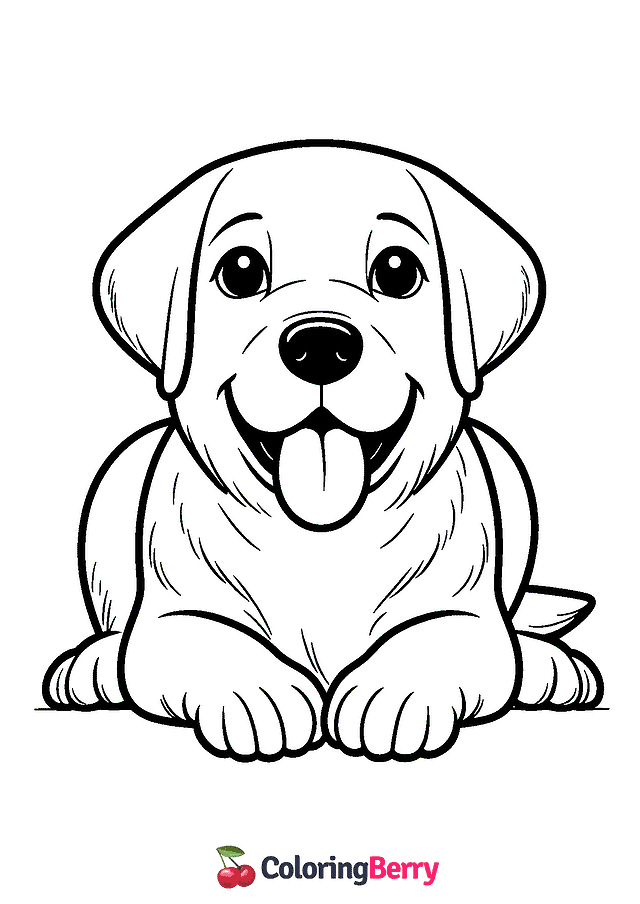 Labrador Dog Coloring Page