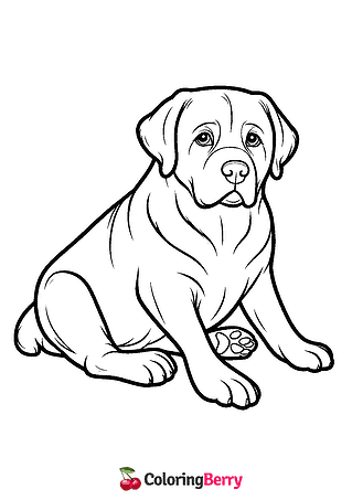 Labrador Retriever Coloring Page