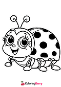 Ladybug