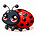 Ladybugs