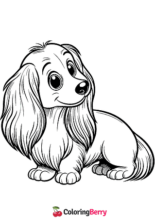 Long Haired Dachshund Coloring Page