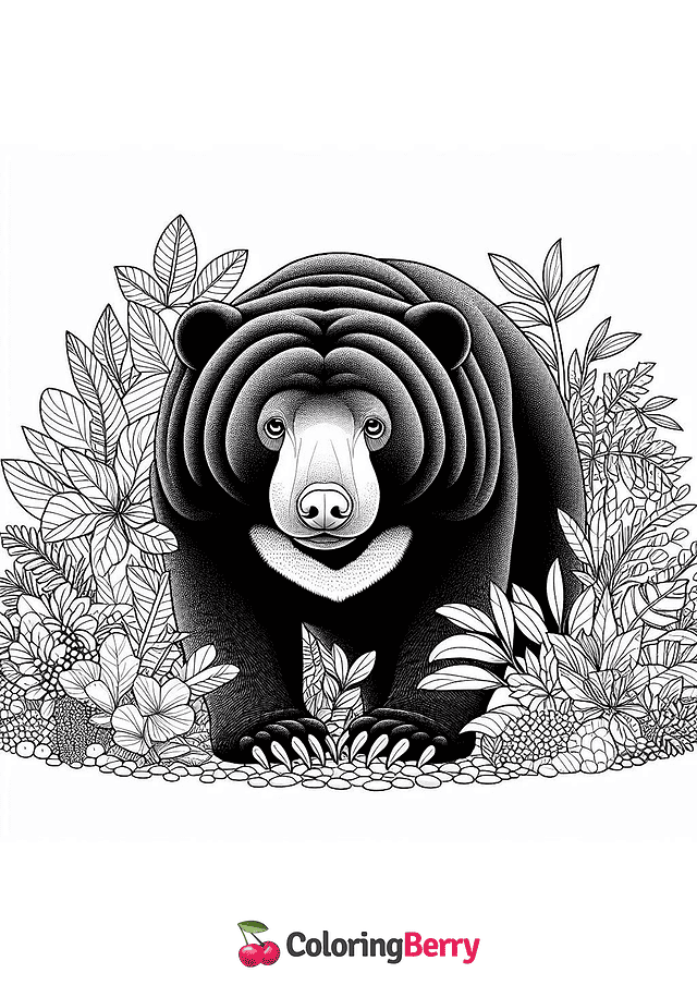 Malayan Sun Bear Coloring Page