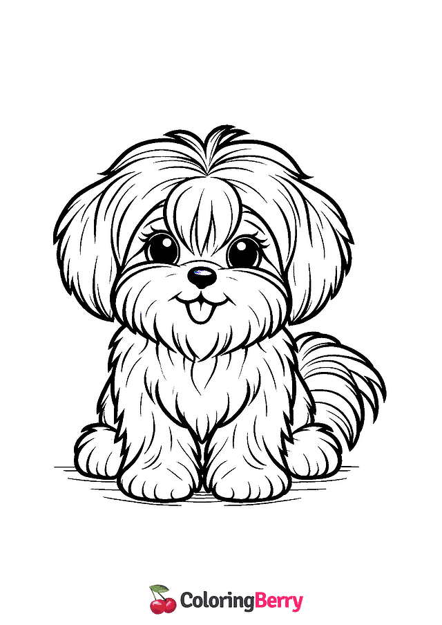 Maltese Dog Coloring Page