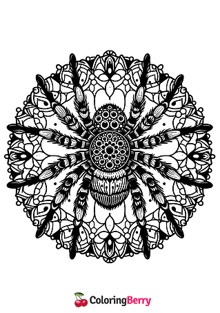 Mandala Spider Coloring Page