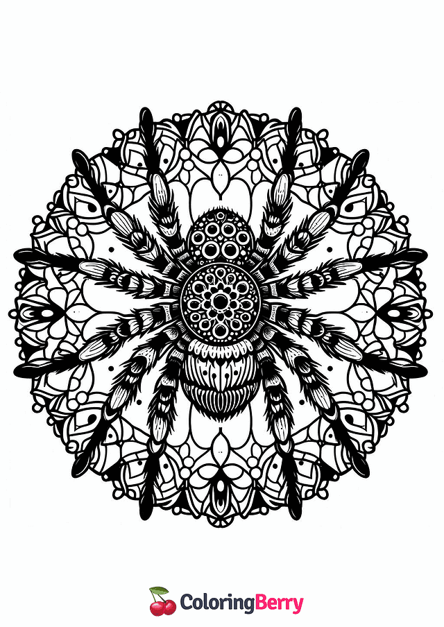 Mandala Spider Coloring Page