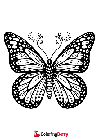 Monarch Butterfly Coloring Page