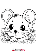 Mouse Head
