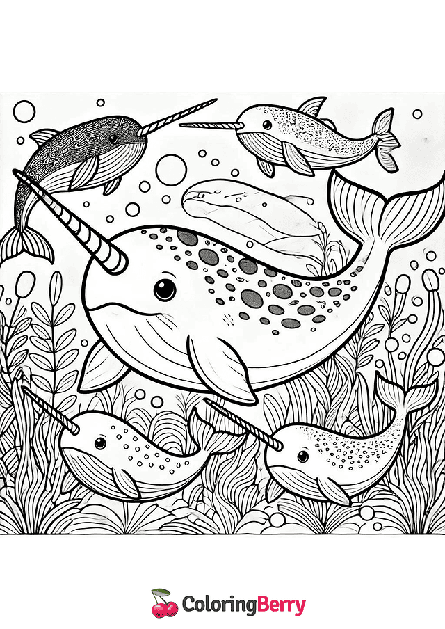 Narwhals Coloring Page