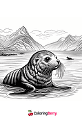 New Zealand Sea Lion