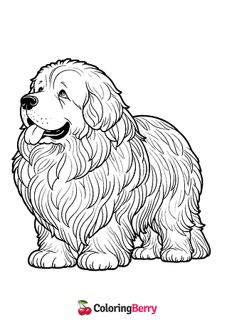 Newfoundland Dog Coloring Page