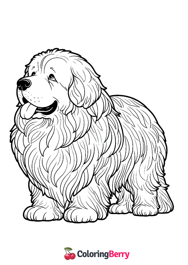 Newfoundland Dog Coloring Page