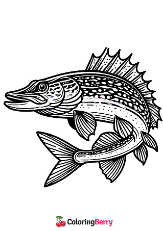 Northern Pike Fish Coloring Page