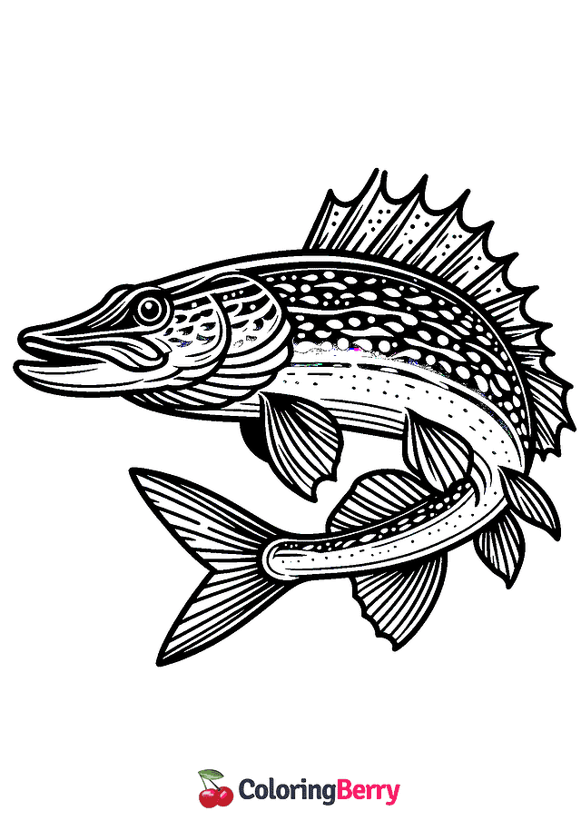 Northern Pike Fish Coloring Page