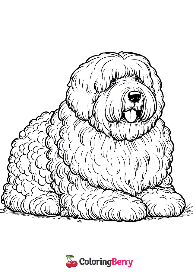 Old English Sheepdog Coloring Page