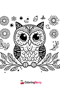 Owl