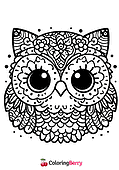 Owl Face