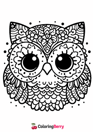 Owl Face