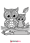 Owl Family