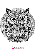 Owl Mandala
