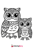 Owls