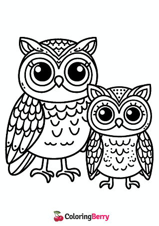 Owls