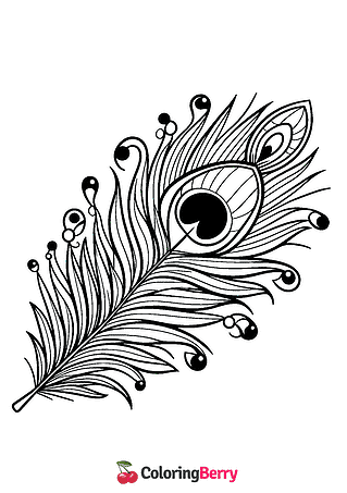 Peacock Feather Coloring Page