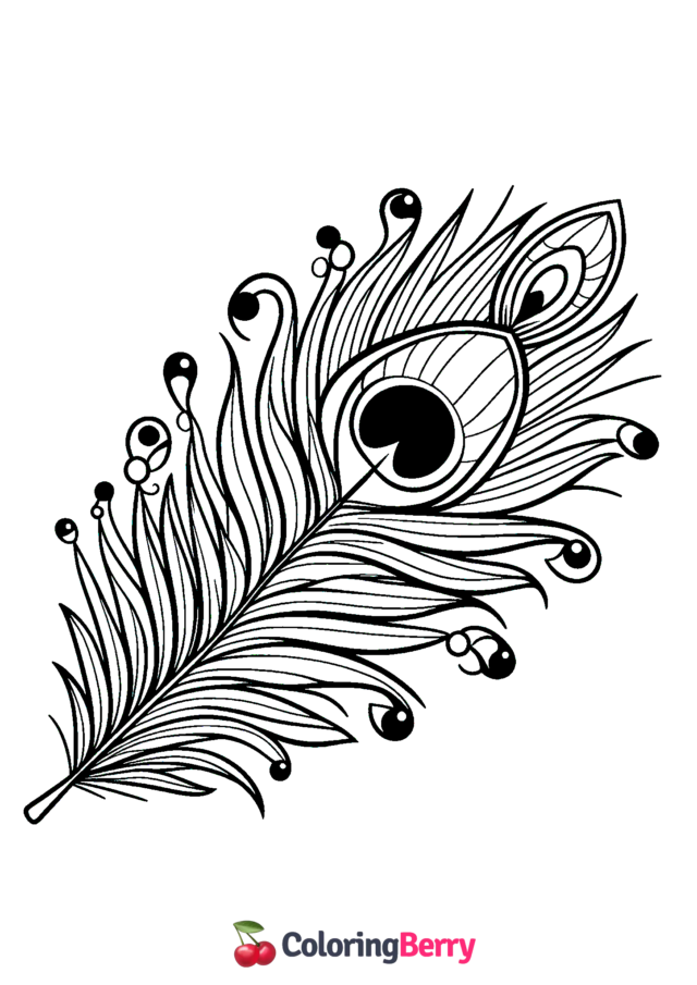 Peacock Feather Coloring Page