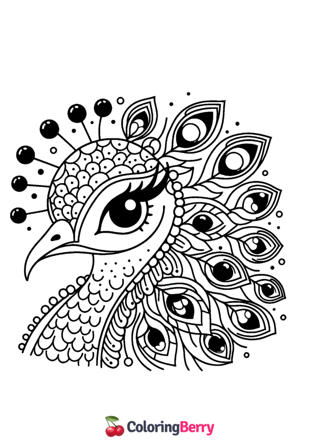 Peacock Head Coloring Page