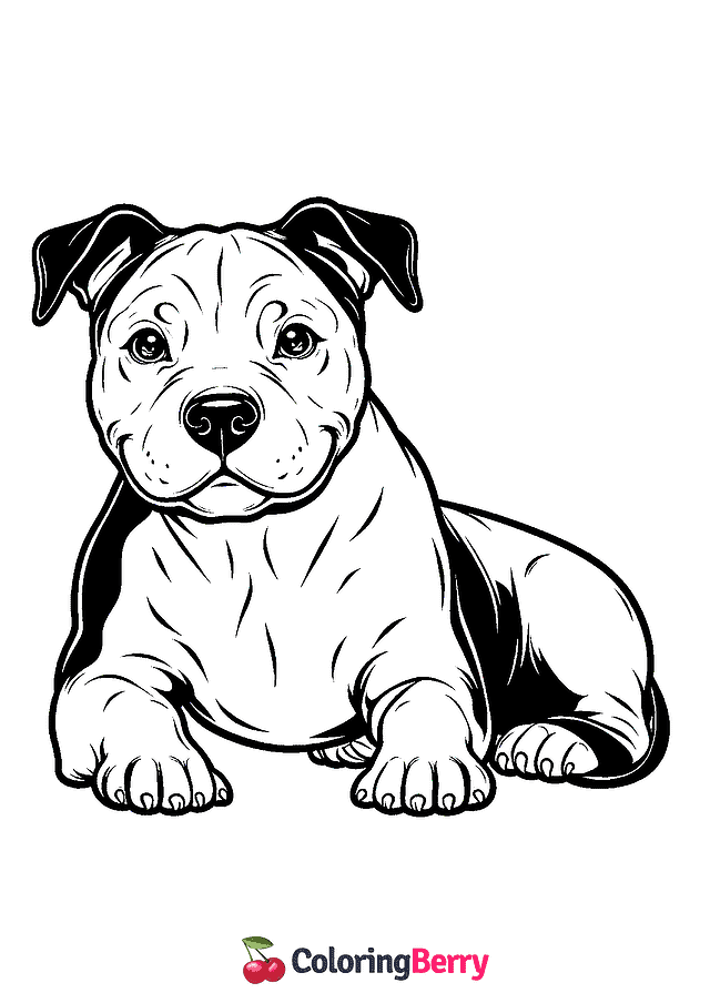 Pit Bull Coloring Page