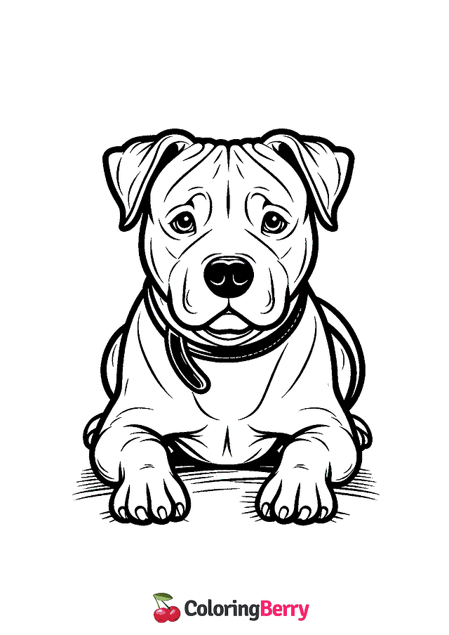 Pitbull Dog Coloring Page