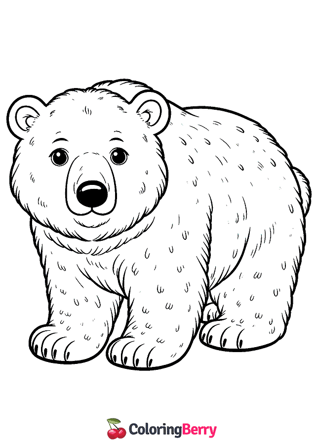 Polar Bear Coloring Page