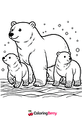Polar Bears