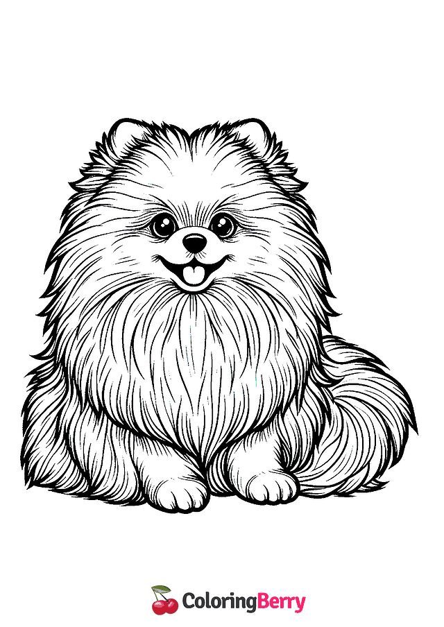 Pomeranian Coloring Page