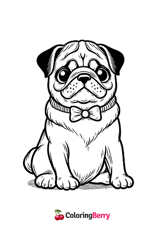 Pug Dog Coloring Page