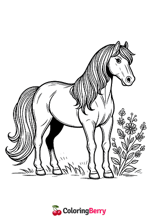 Quarter Horse Coloring Page