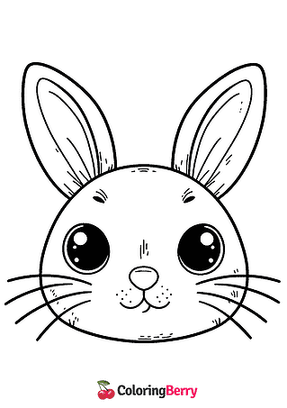 Rabbit Head