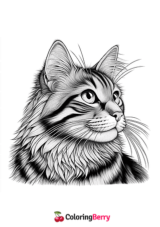 Realistic Cat Coloring Page