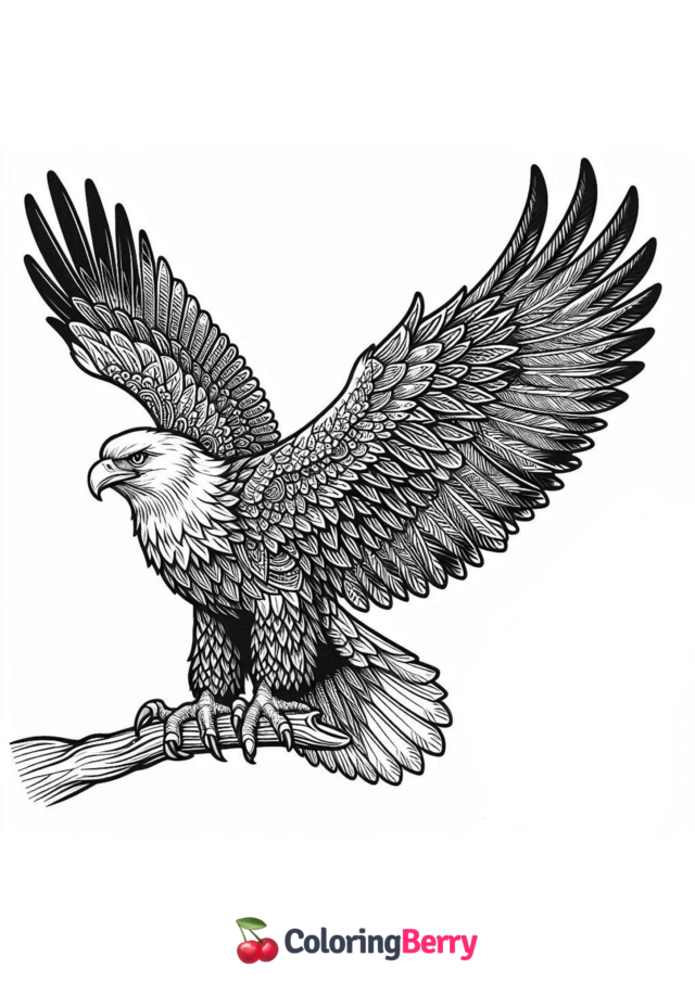 Realistic Eagle Coloring Page