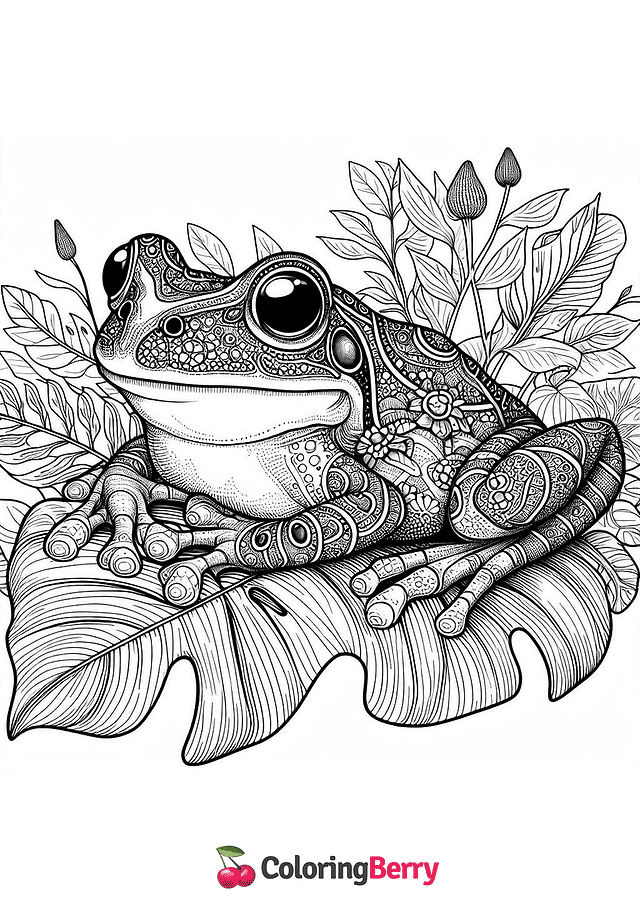 Realistic Frog Coloring Page