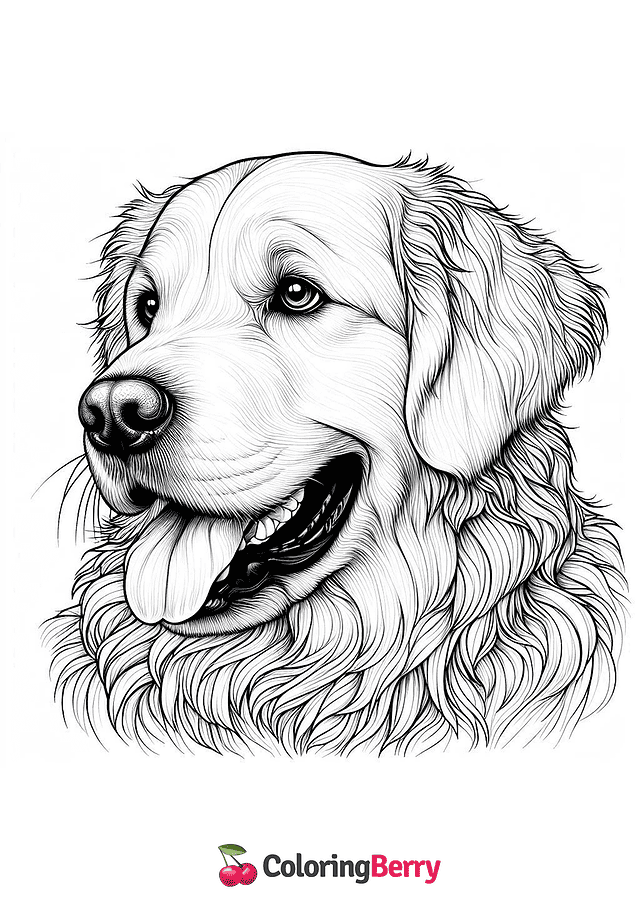 Realistic Golden Retriever Coloring Page